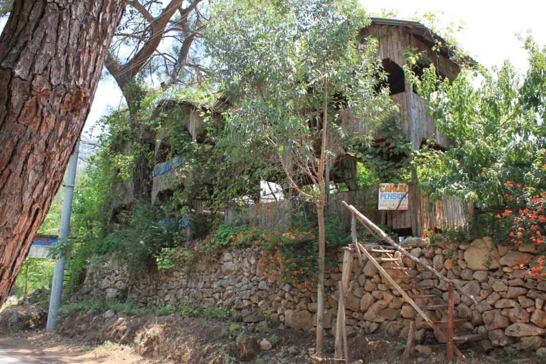 Photo of Others in Olympos
