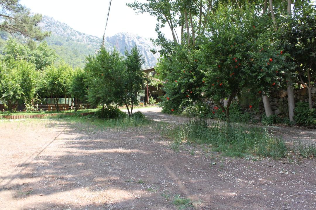 Photo of Others in Olympos
