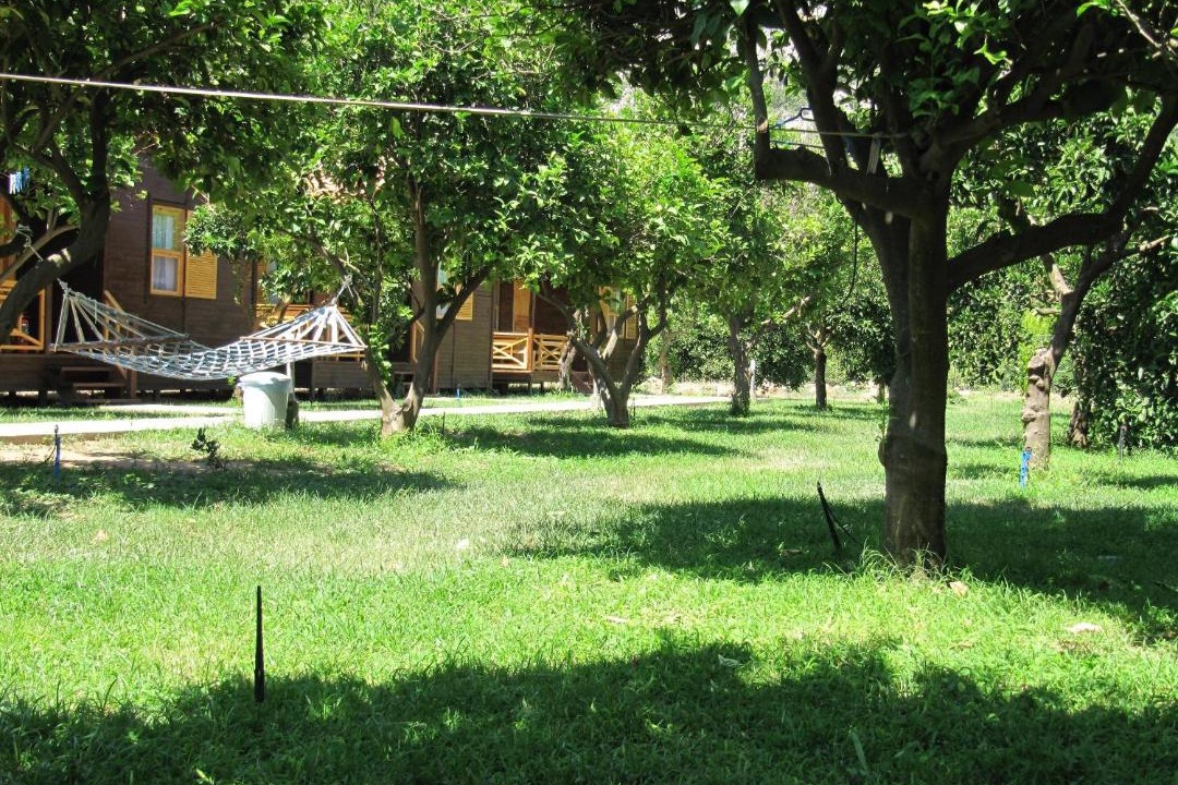 Photo of Others in Cirali