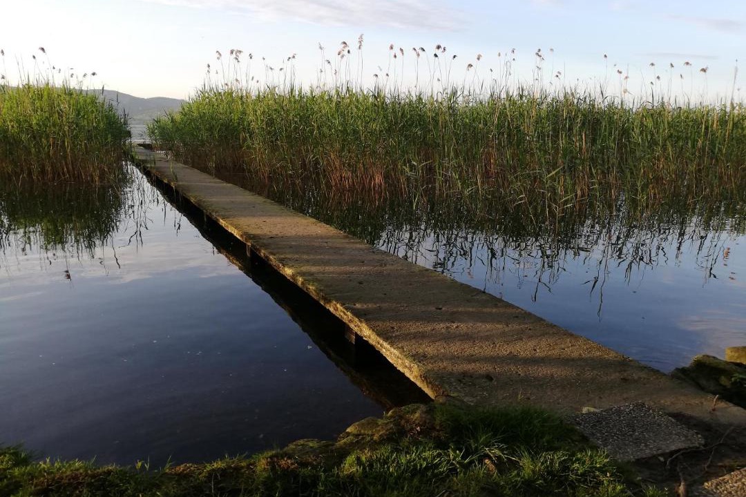 Photo of Others in Sapanca