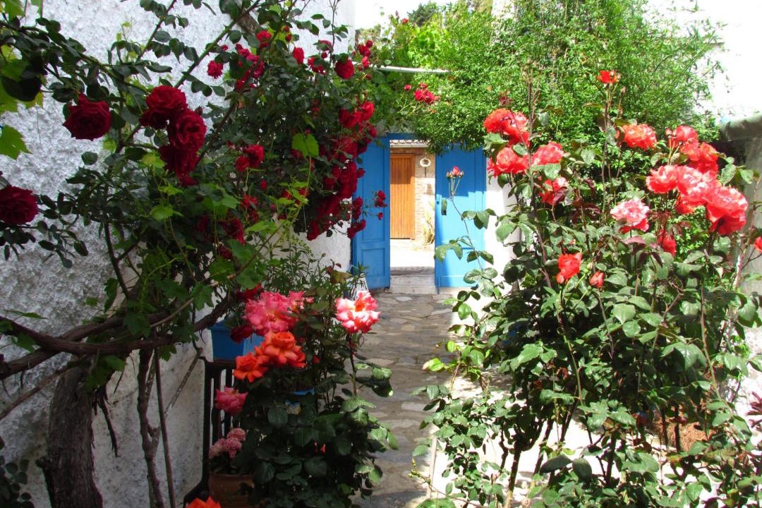 Photo of Others in Selcuk