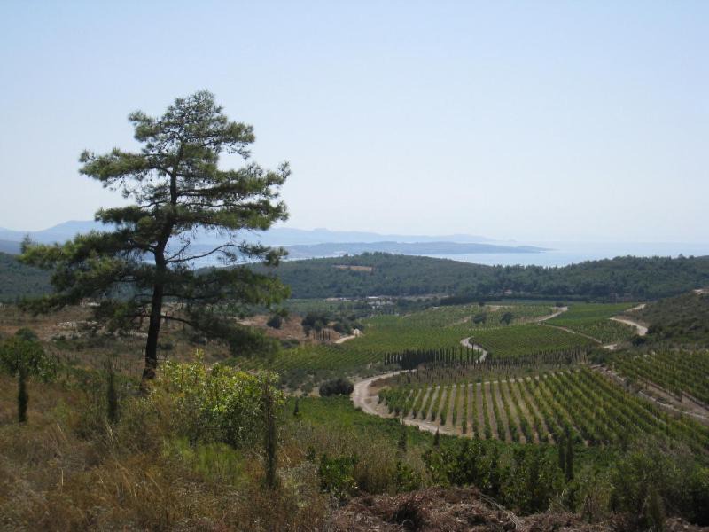 Photo of Others in Urla