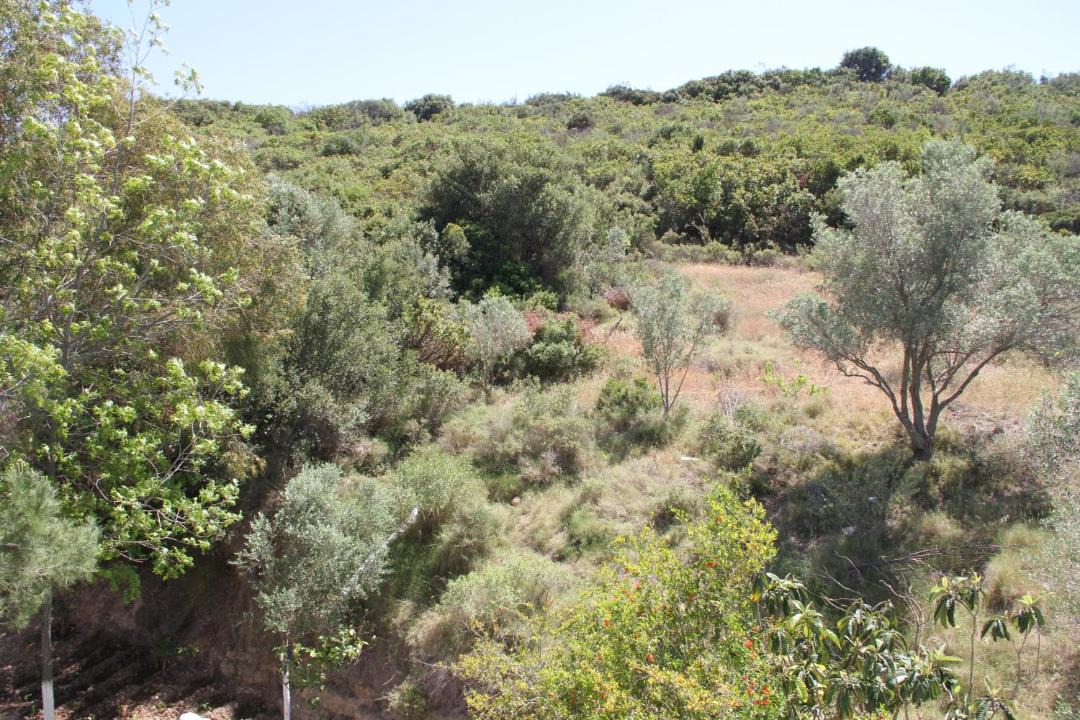 Photo of Others in Mavisehir