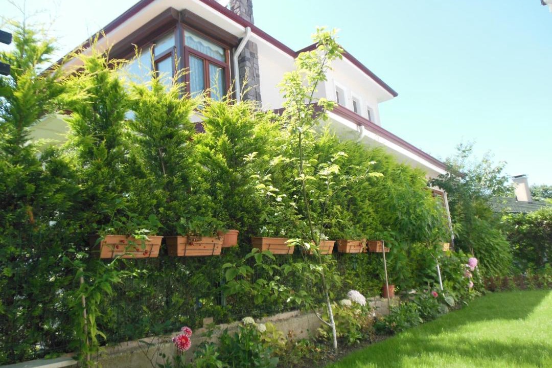 Photo of Buildings in Sapanca