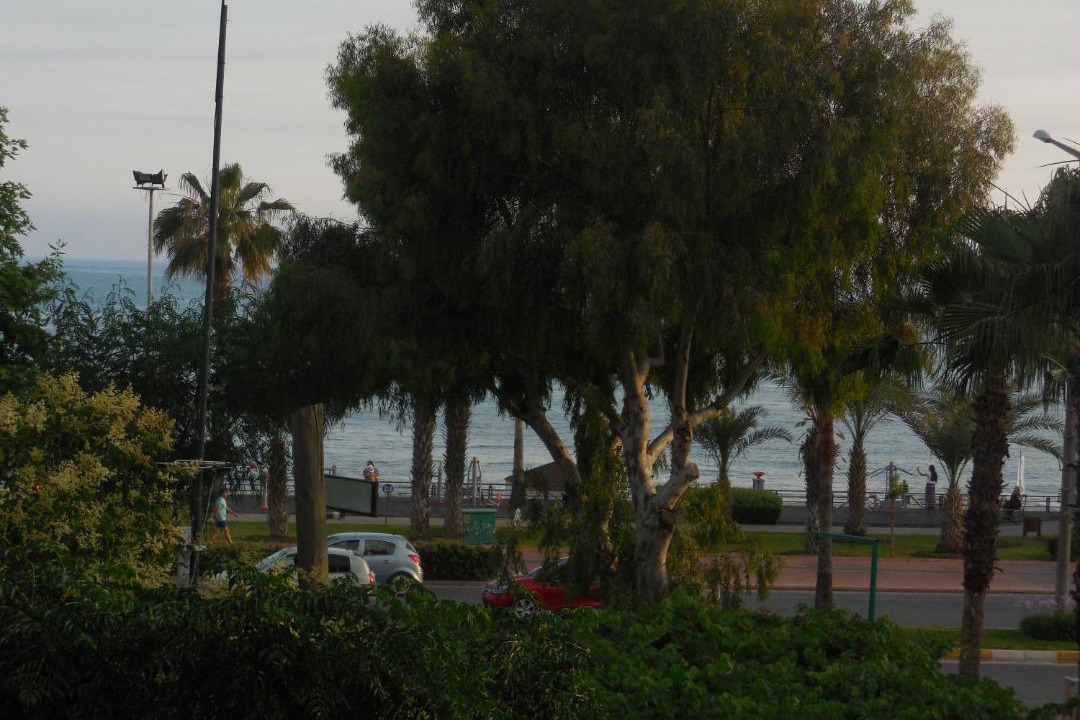 Photo of Others in Alanya