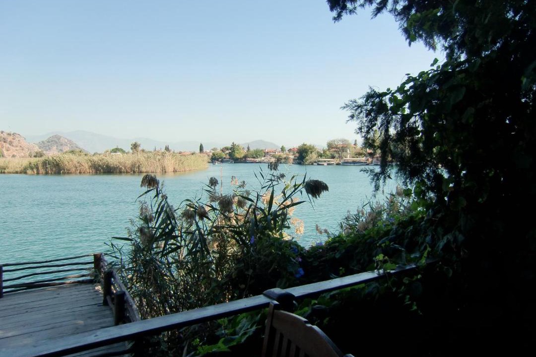 Photo of Others in Dalyan City Center