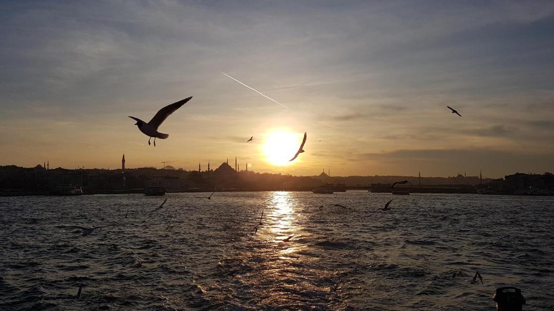 Photo of Others in Sultanahmet