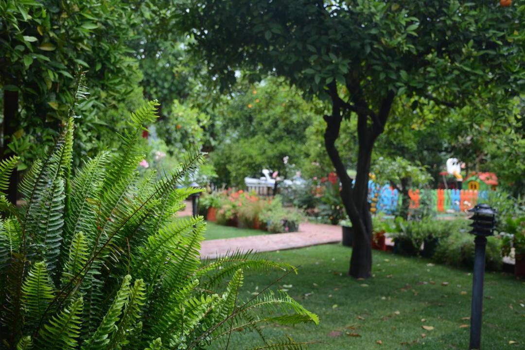 Photo of Others in Cirali