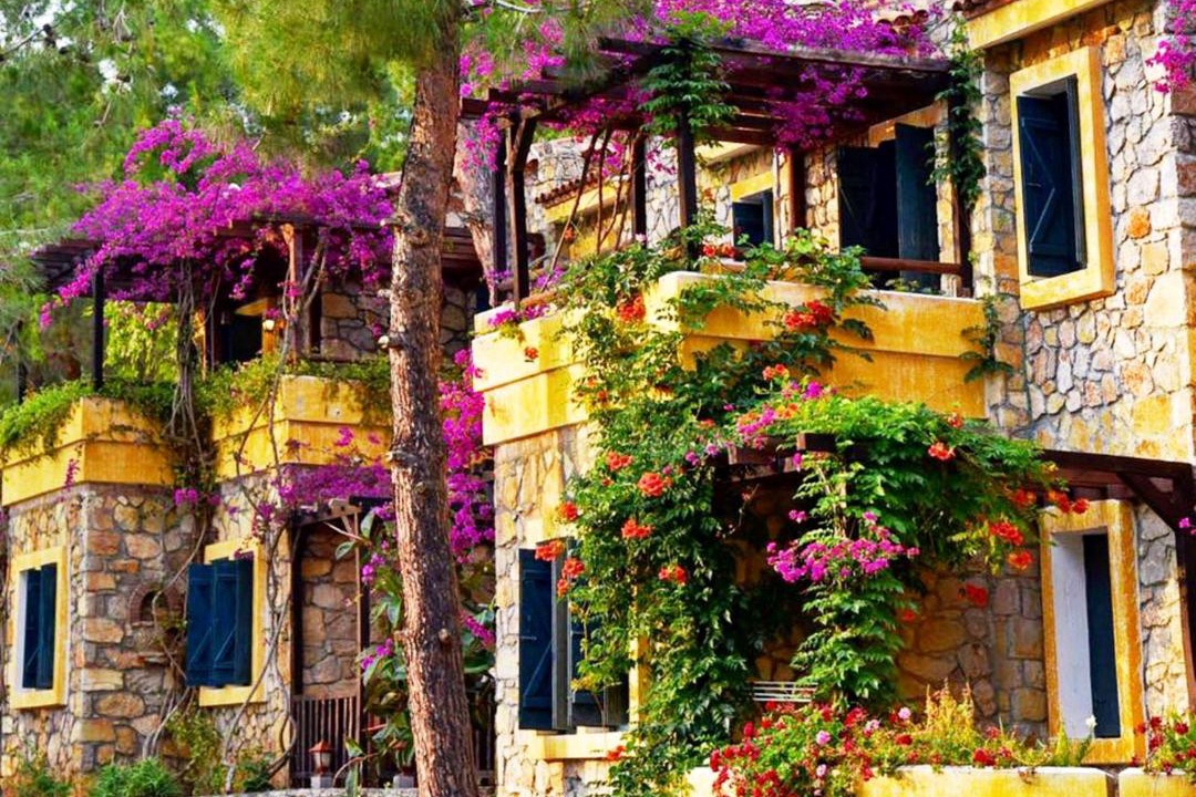 Photo of Others in Oludeniz City Center