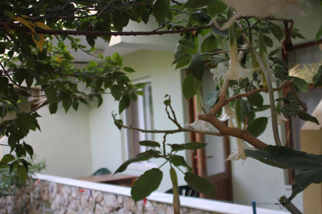 Photo of Others in Cirali