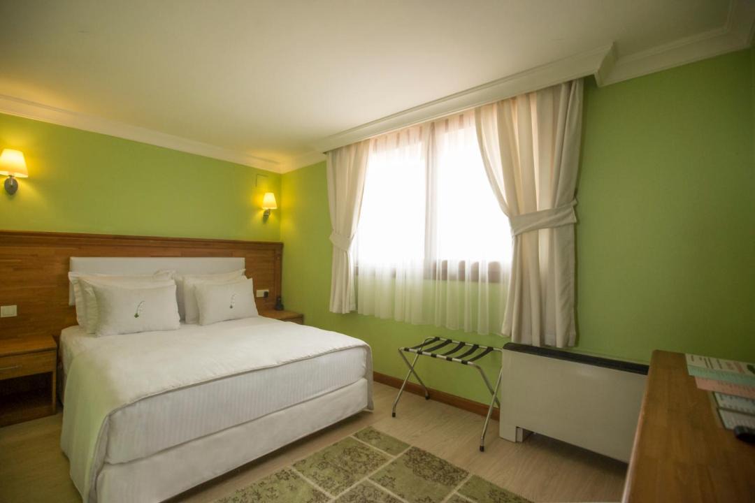 Photo of Bedroom in Alasehir