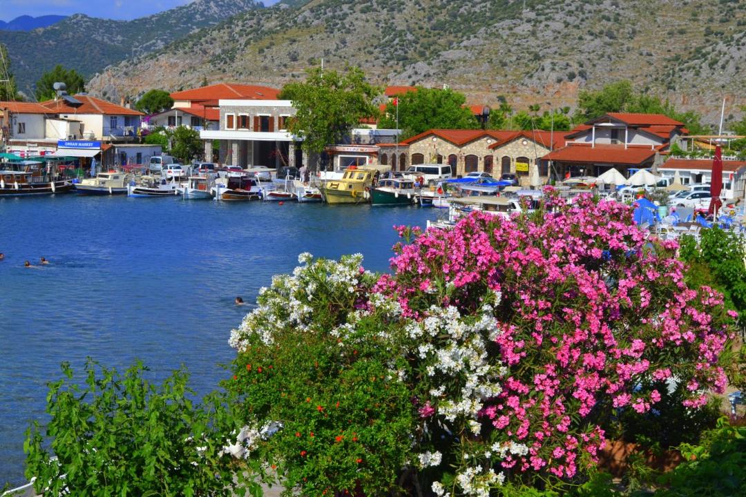 Photo of Others in Selimiye