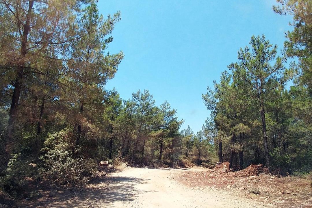 Photo of Outdoor in Patara