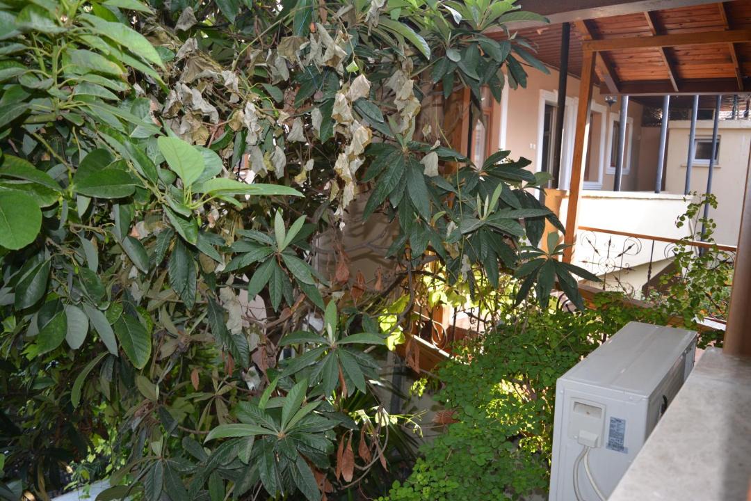 Photo of Outdoor in Tarsus