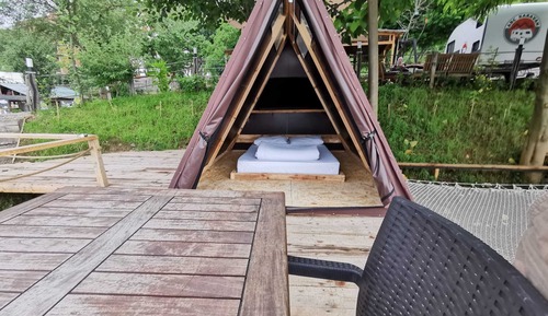 Luxury Tree House