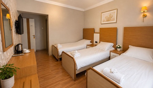 Economy Triple Room, 1 Bedroom