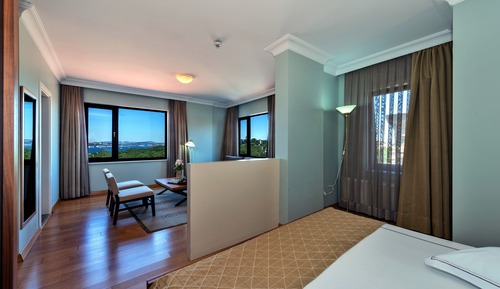 Suite, 1 King Bed with Sofa bed, Sea View