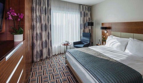 Deluxe Suite, 1 King Bed