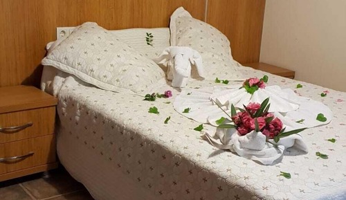 Standard Double Room Single Use