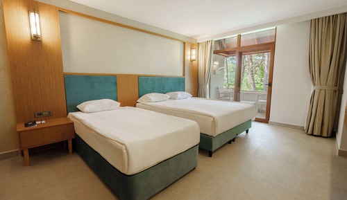 Garden Chalet room