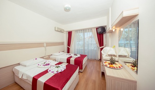 Standard Double or Twin Room, Smoking, Mountain View