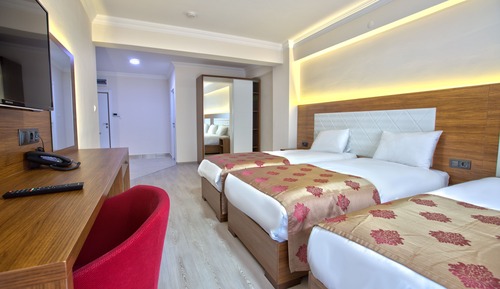 Business Triple Room