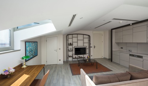 Deluxe Studio Suite, Multiple Beds, Kitchen