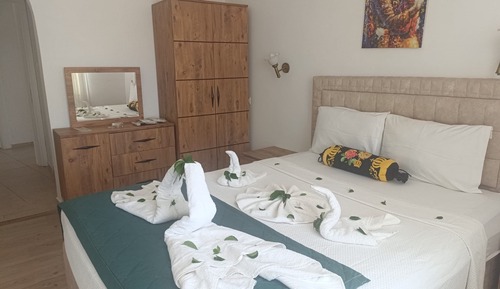 Basic Double or Twin Room
