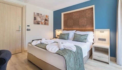 Standard Double Room, Mountain View