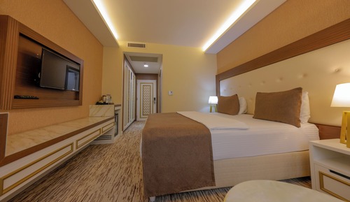 Deluxe Double Room Single Use, 1 Double Bed