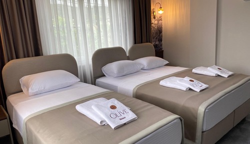 Premium Triple Room