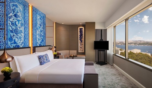 Room, 1 King Bed, Park View