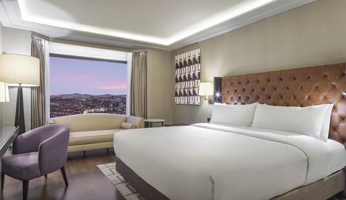 Business Suite, Club Lounge Access (CAPITAL)