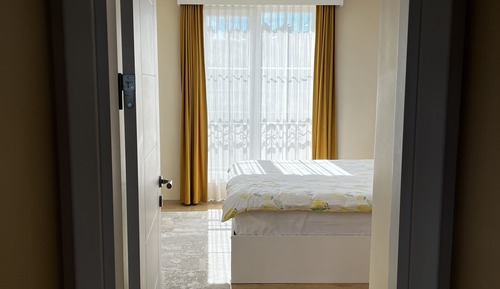Basic Apartment