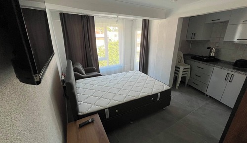 Economy Apartment, Balcony, Mountain View