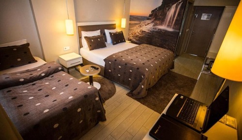 Family Twin Room, Pets Allowed, City View