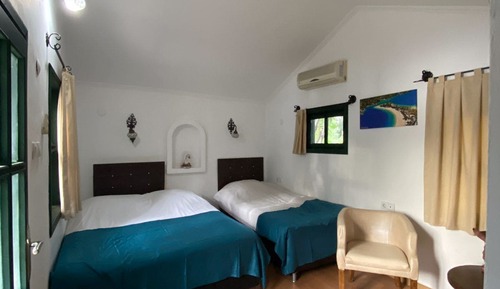 Classic Twin Room, Mountain View