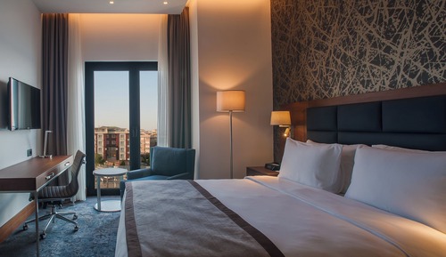 Standard Room, 1 Queen Bed (Stocked Minibar)