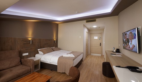 Deluxe Room, 1 Queen Bed with Sofa bed