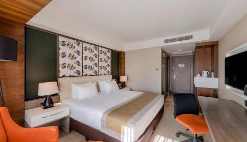 Premium King Room with Mountain View