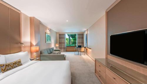 Garden Deluxe King Room 
