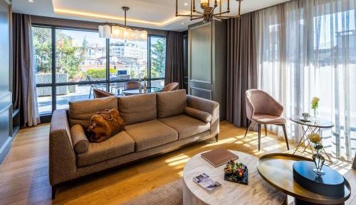 Signature King Suite