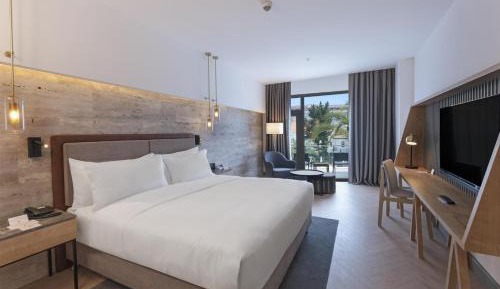Deluxe King Room with Terrace
