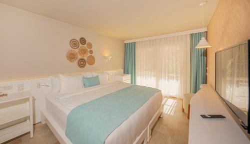 Superior Deluxe Double or Twin Room 