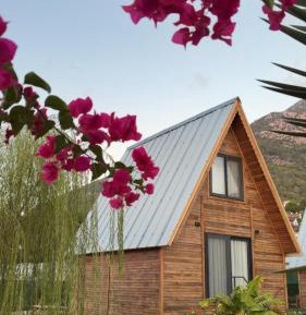 Two-Bedroom Bungalow