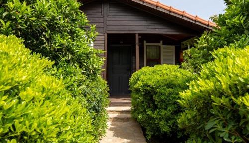 Bungalow (3 Adults)