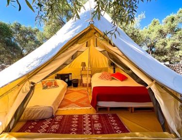 Basic Triple Room