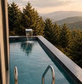 Double Room with Pool View
