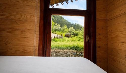 Suite with Mountain View
