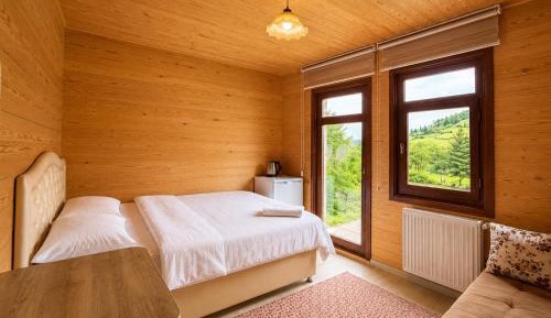 Family Room with Mountain View